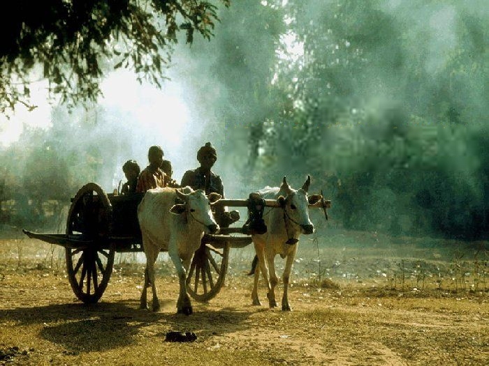 Isan Family in Ox Cart